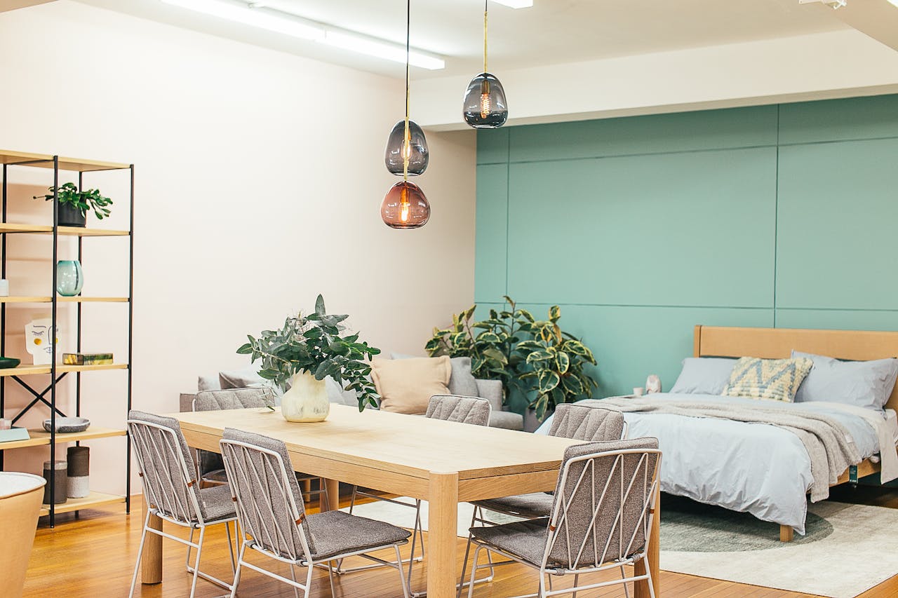 Modern light studio decorated with wooden table with vase with plant and chairs under lamps near couch and bed with carpet near shelves